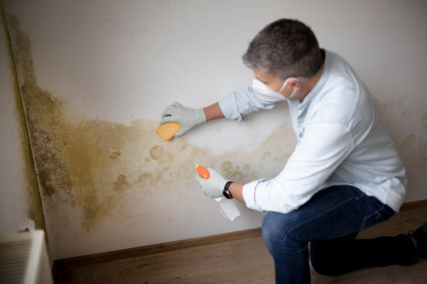 Best Mold Remediation for Healthcare Facilities  in Buford, GA