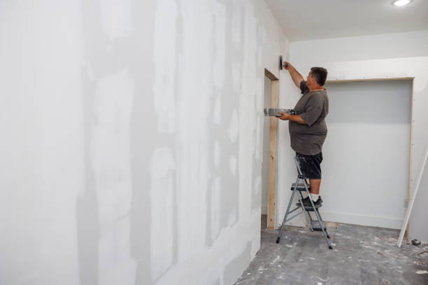 Best Mold Damage Restoration  in Buford, GA