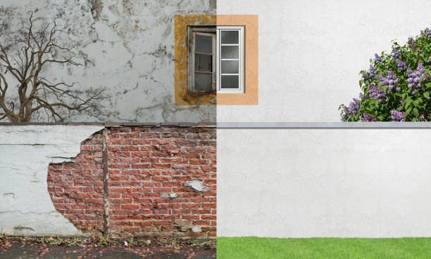 Best Attic Mold Removal  in Buford, GA