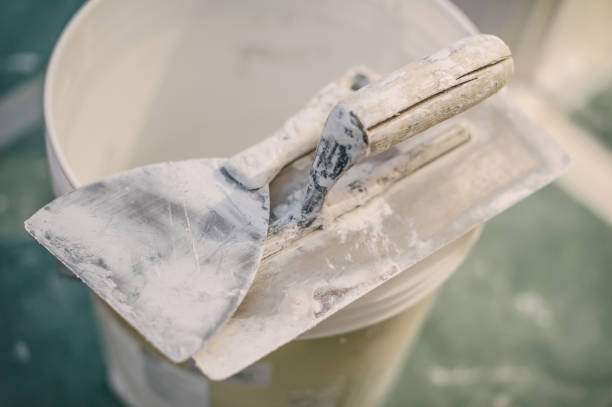 Best Biohazard Mold Removal  in Buford, GA