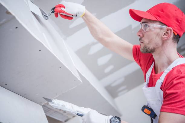Best Crawl Space Mold Remediation  in Buford, GA